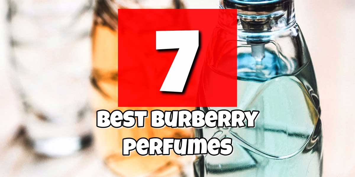 best burberry perfume
